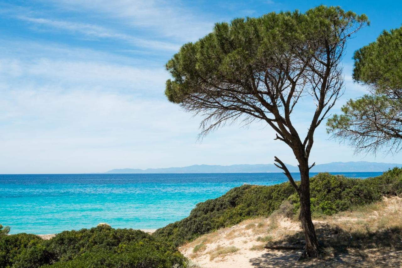 Appartamento Con Vista Mare A Terramala Terra Mala Exterior foto